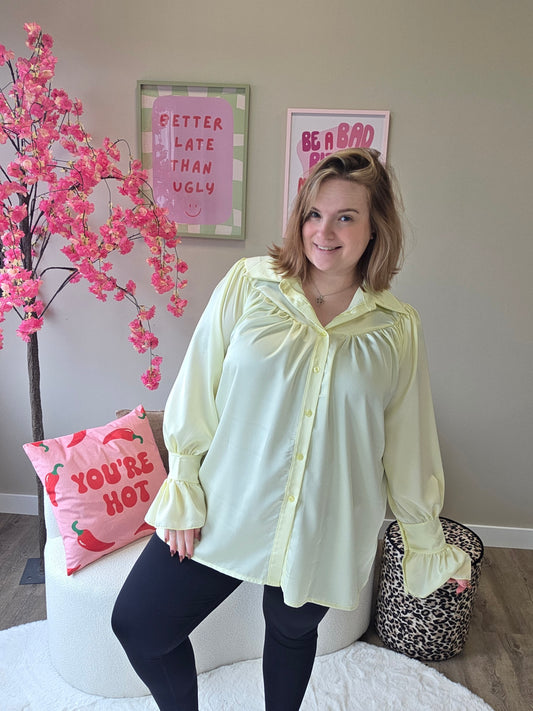 Shiny Blouses (In 4 kleuren)