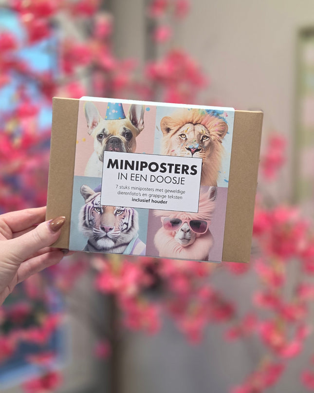 Mini Posterbox 2
