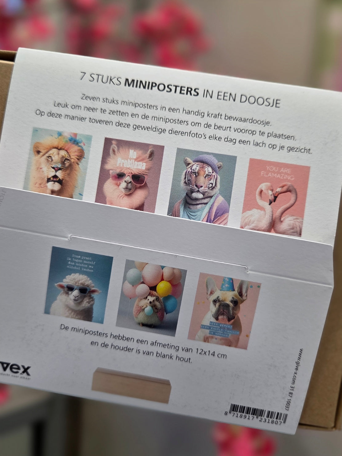 Mini Posterbox 2
