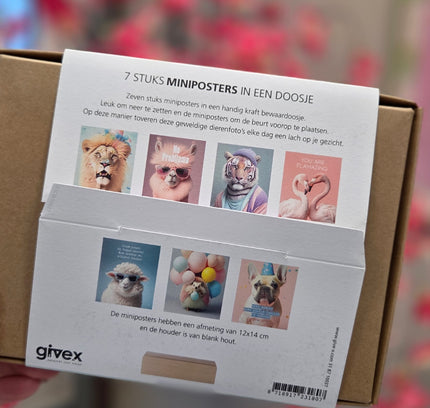 Mini Posterbox 2