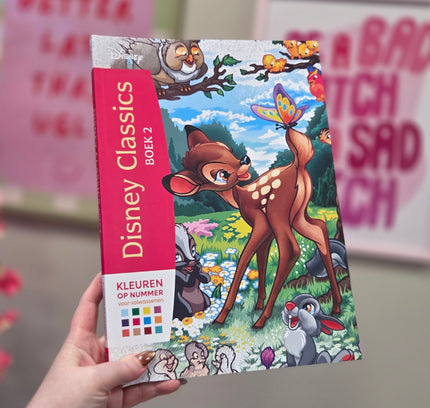 Disney kleuren op nummer | Disney Classics boek 2
