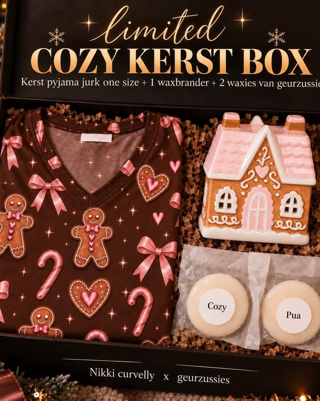 The cozy kerst box gingerbread house