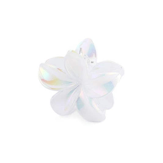 Haarklem Bloem Parelmoer