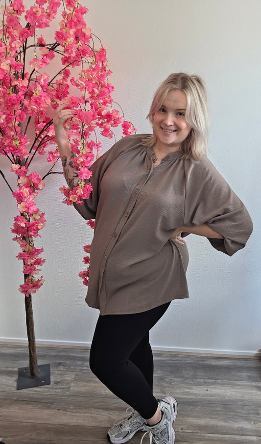 Basic Blouses (In 5 kleuren)