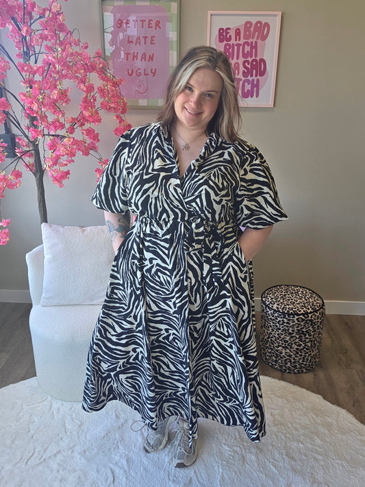 Wikkeljurk Zebra
