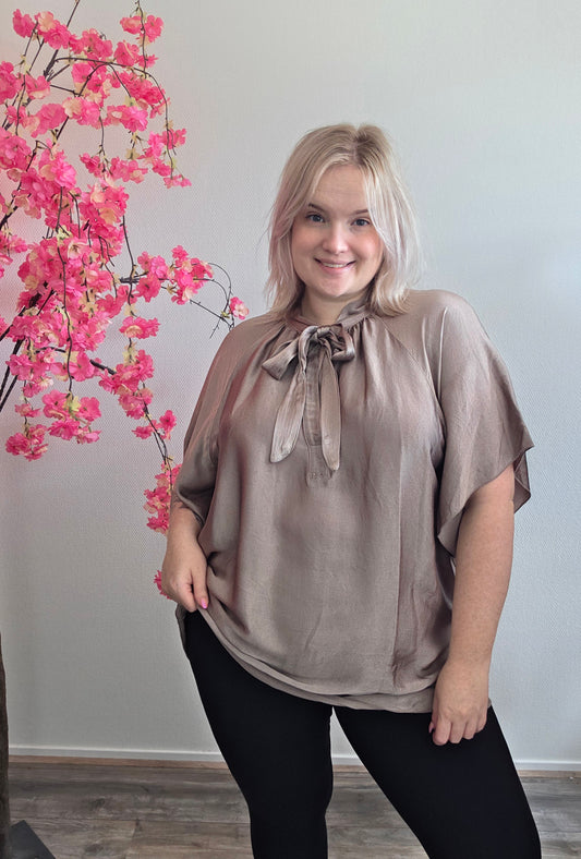 Shiny Blouse (In 4 kleuren)