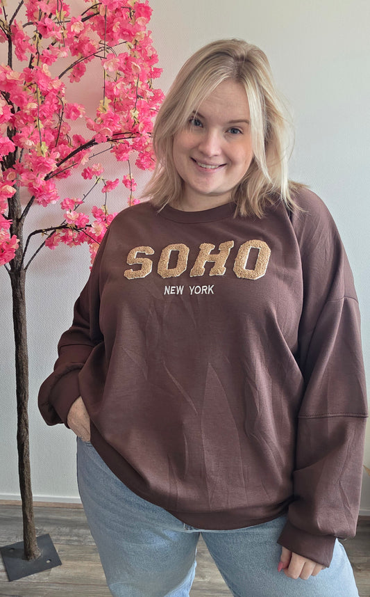 SOHO Sweaters (In 3 kleuren)