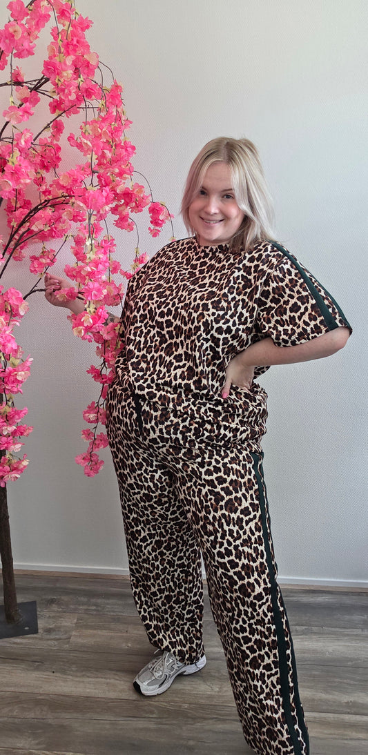 Leopard Stripe Comfy (in 4 kleuren)